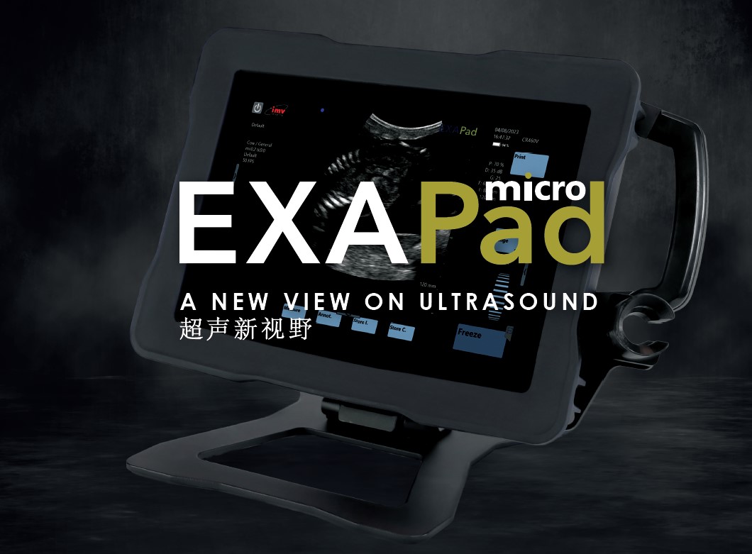 ExaPad Micro B超扫描仪
