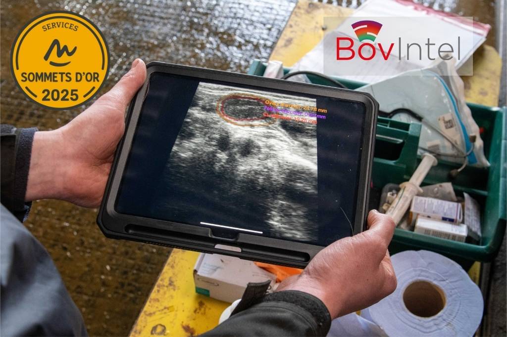 BovIntel 超声软件